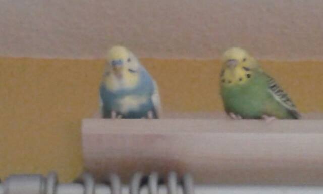 Blitz und Donner